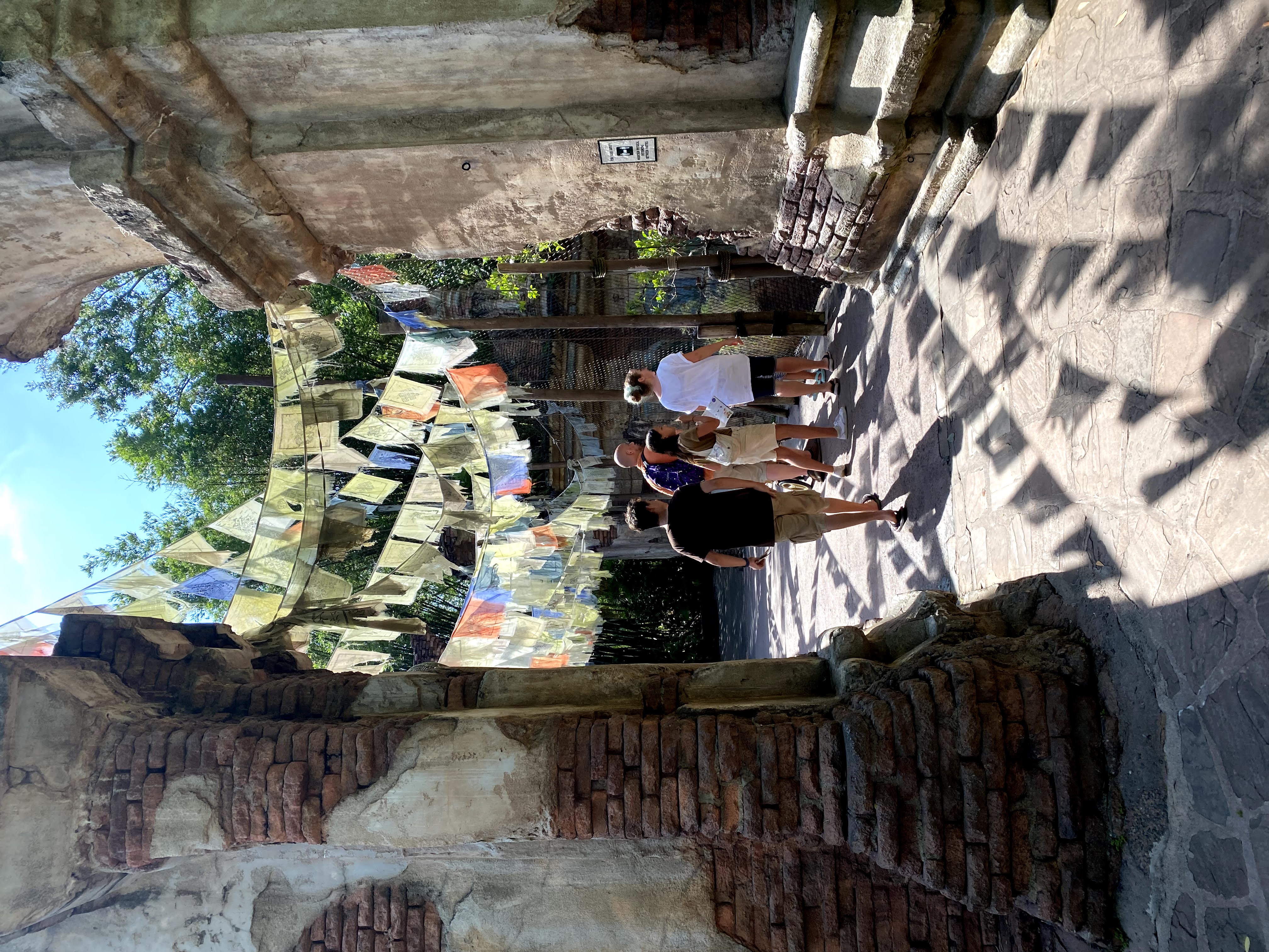 Animal Kingdom